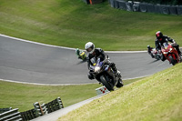 brands-hatch-photographs;brands-no-limits-trackday;cadwell-trackday-photographs;enduro-digital-images;event-digital-images;eventdigitalimages;no-limits-trackdays;peter-wileman-photography;racing-digital-images;trackday-digital-images;trackday-photos